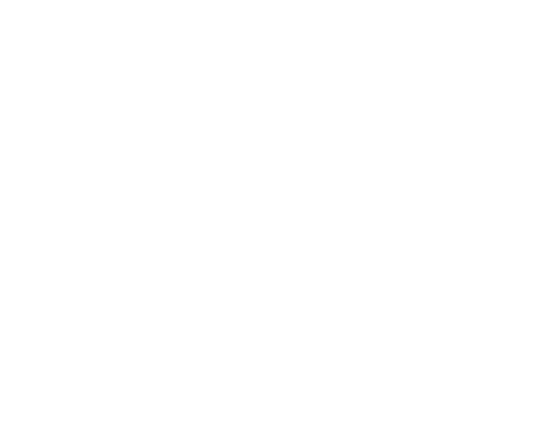 Tecnologia Mayorista