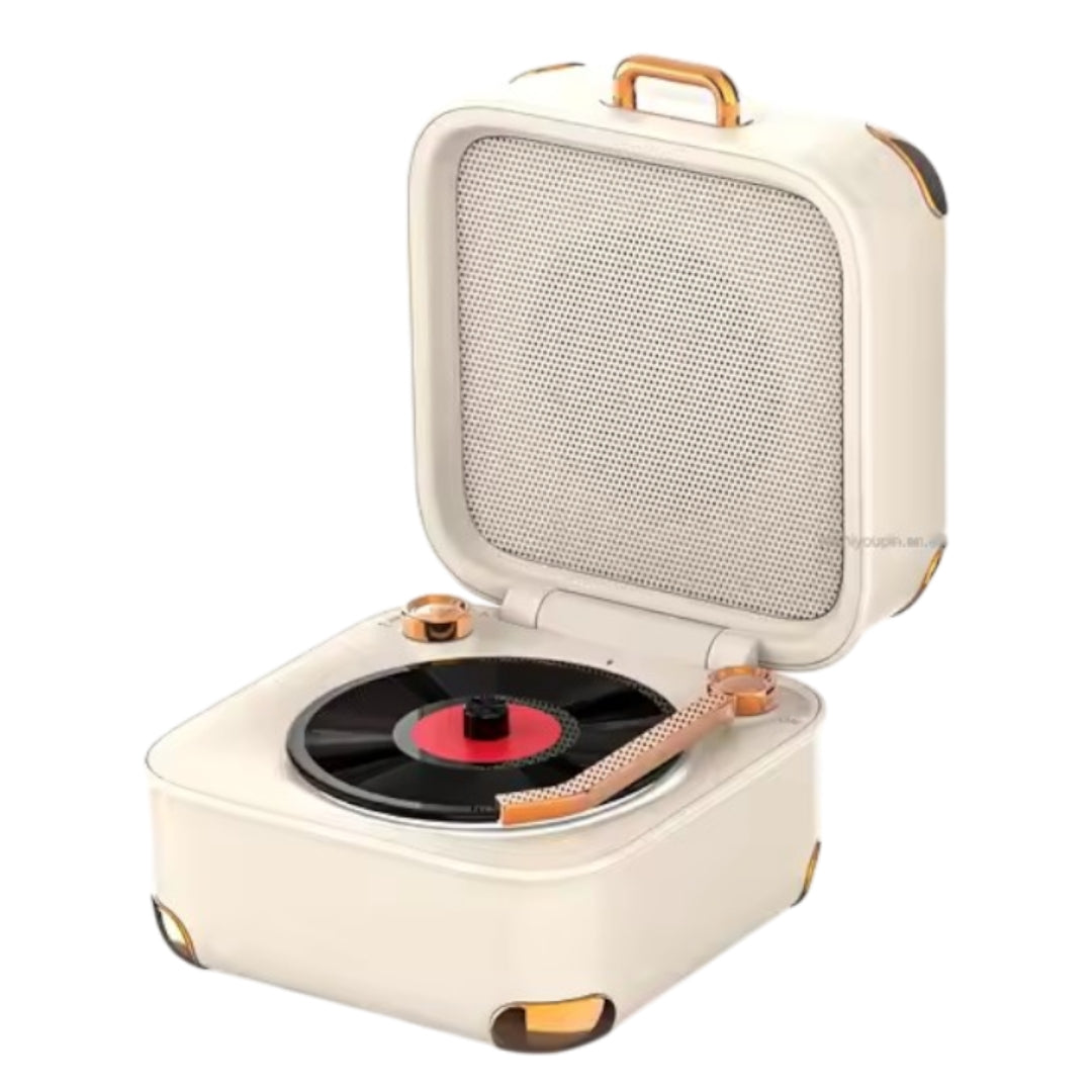 Radio Parlante De Larga Duración Diseño De Tocadiscos NT-P2449 B2B