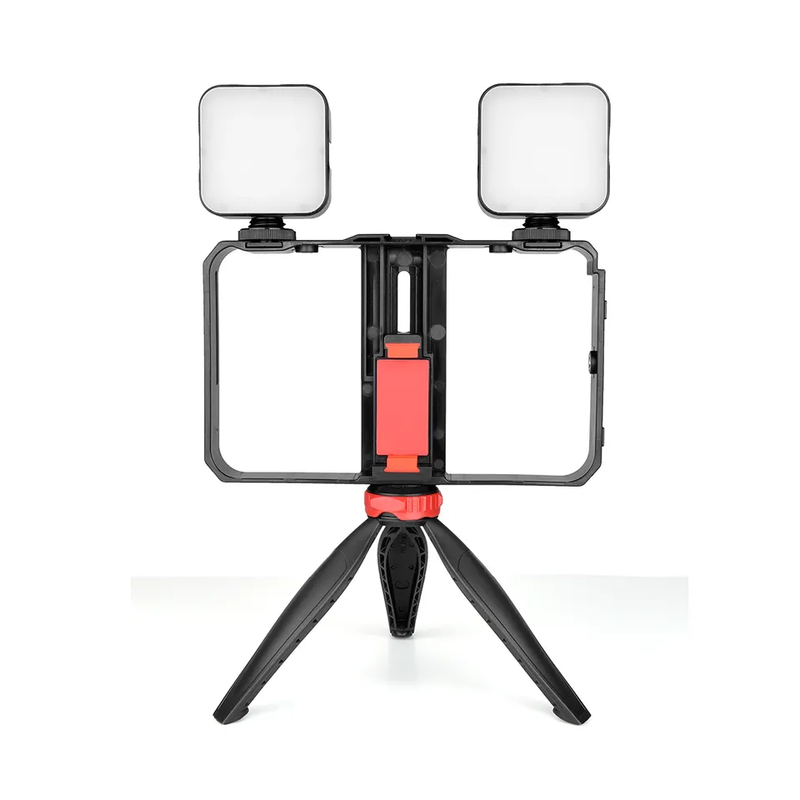 Cargue la imagen en el visor de la galería, Kit Fotografico 4 en 1 Tripode/luces/Monopod/Microfono AY-49X ¡Envio Gratis!
