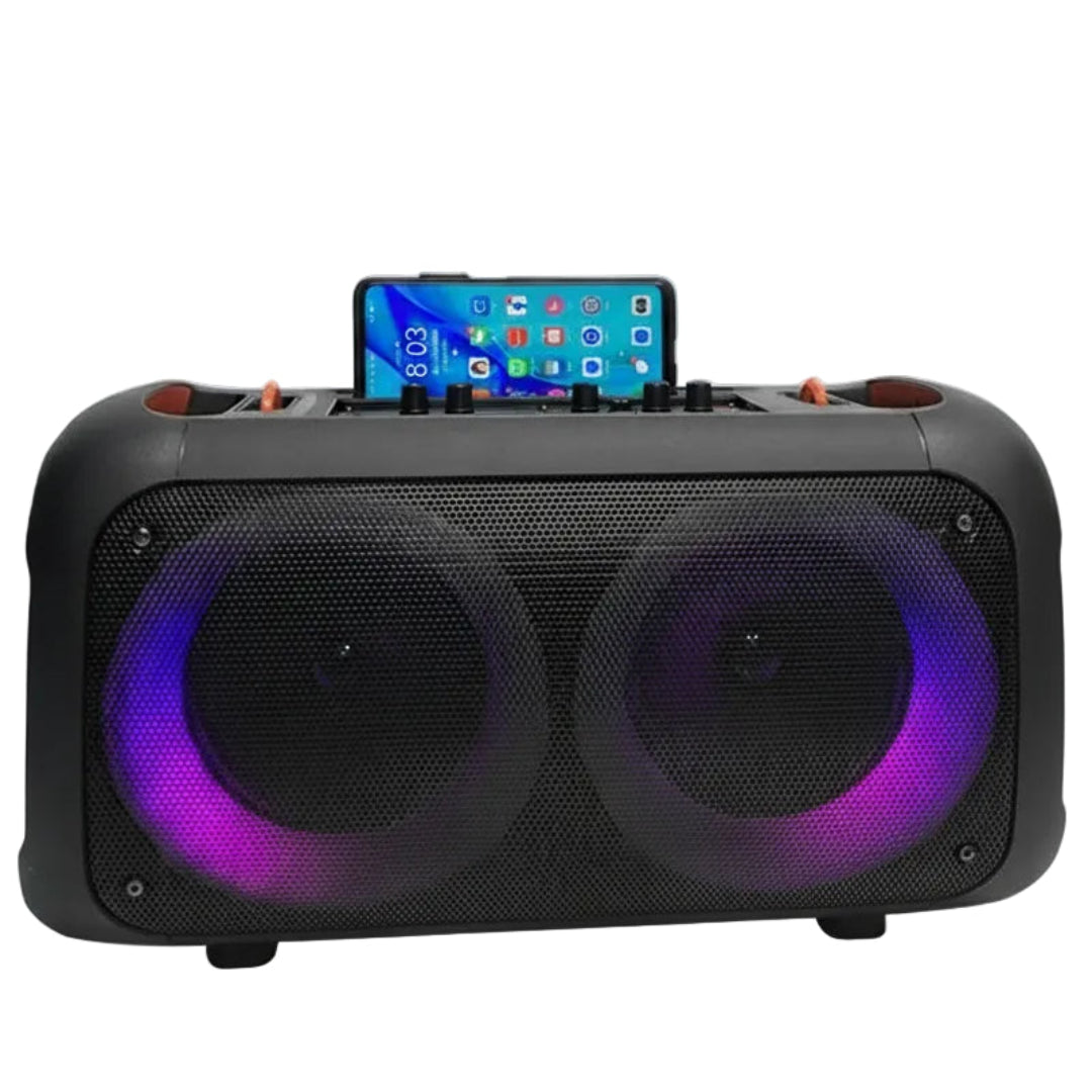 Radio Parlante Recargable Con Bocina de 6.5" BTS-1709