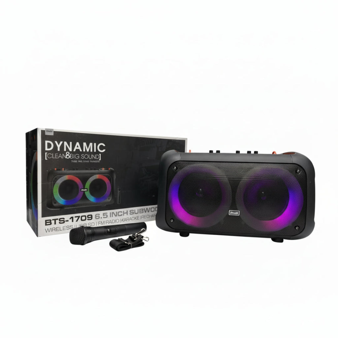 Radio Parlante Recargable Con Bocina de 6.5" BTS-1709