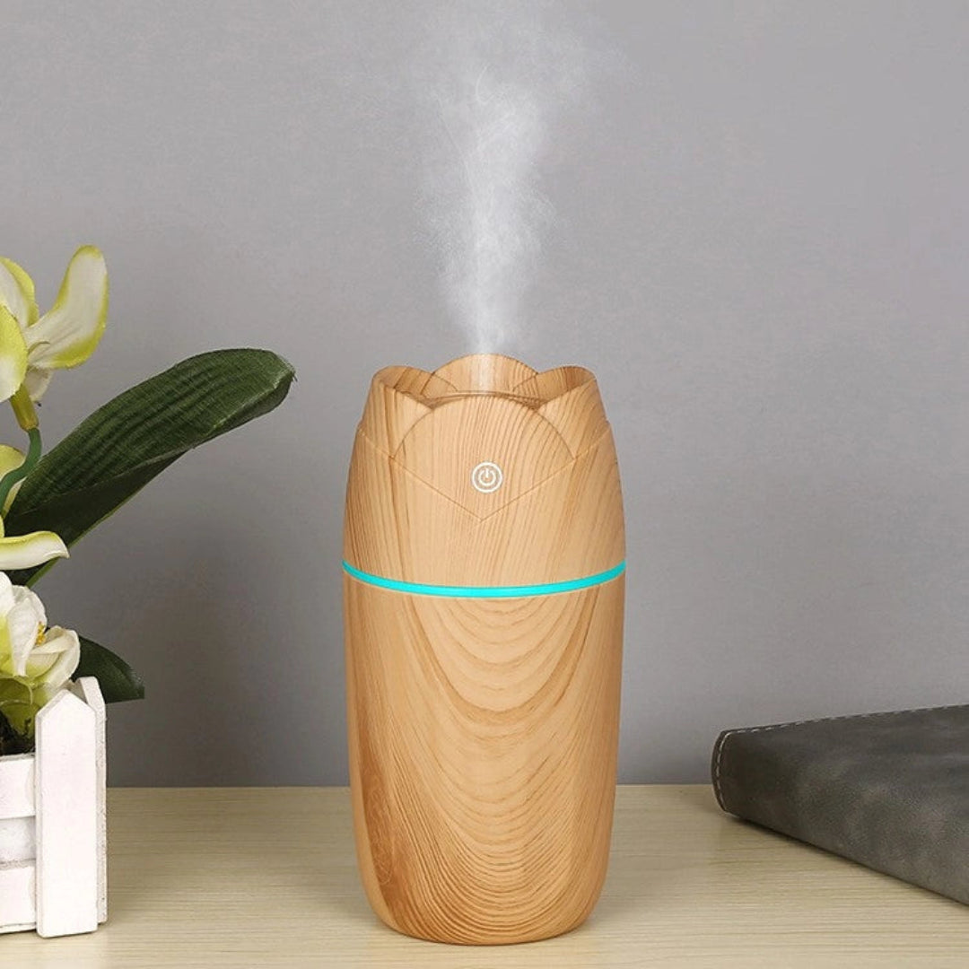 Humificador De Aromas JSQ03