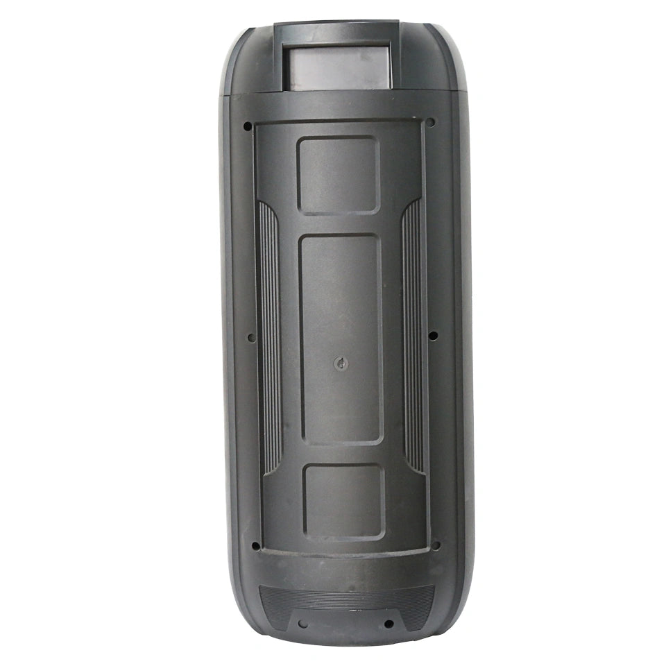 Cabina De Sonido Recargable Con Boicna De 8" x2 KTS-1199S