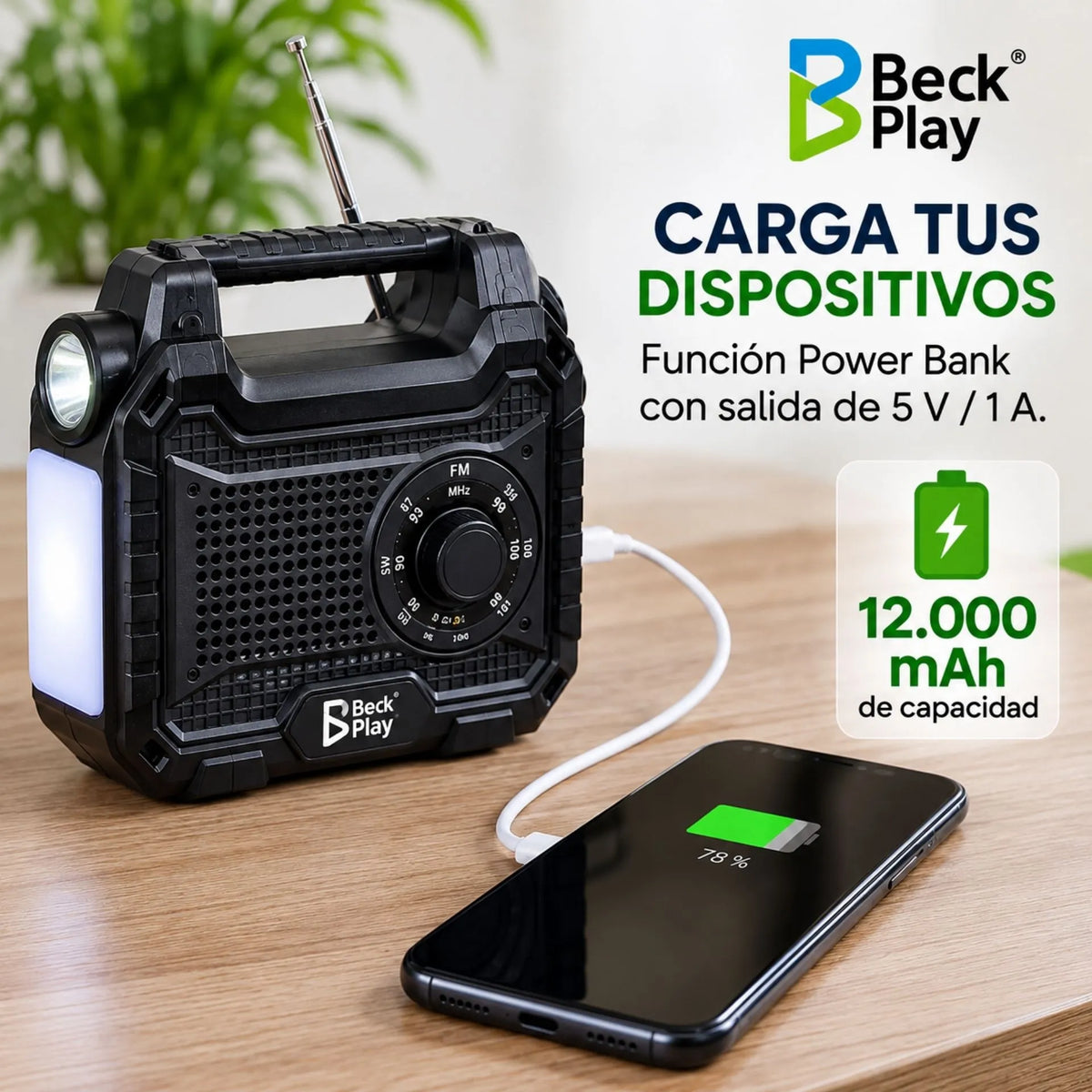 Mini Planta Solar Con Radio Y Power Bank Beck 4 Bombillos Play BP-PL087S