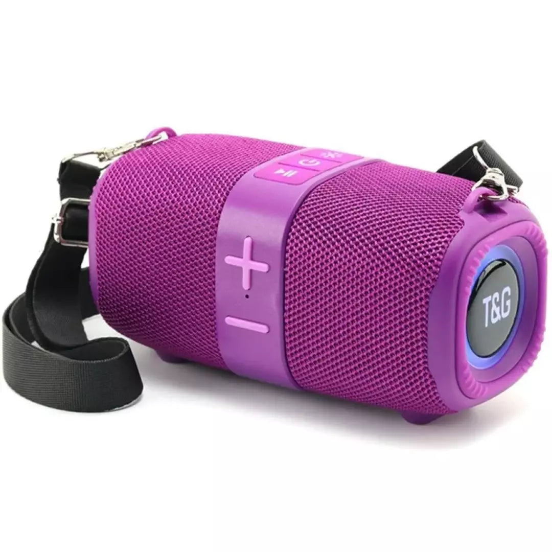 Radio Parlante Bluetooth Portatil T&G TG667 B2B