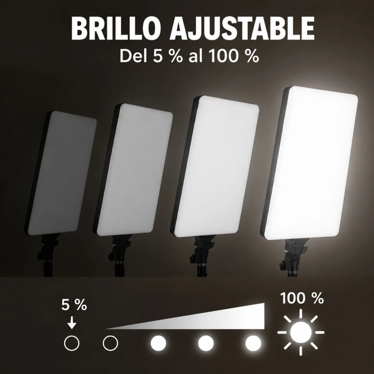 Panel De Luz LED De 19 Pulgadas Con Trípode, 3 Tonos De Luz Y Control Remoto Baihuo City MY-7137