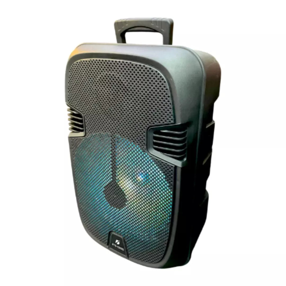 Radio Parlante KTS Tipo Cabina KTS-1202S B2B