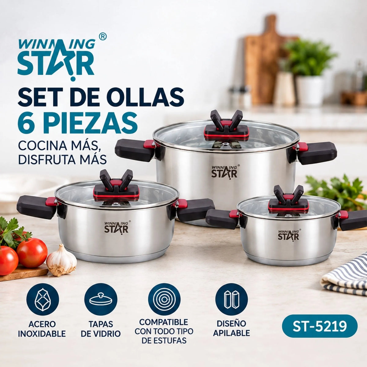 Set De Ollas 6 Piezas En Acero Inoxidable Con Tapas De Vidrio Winning Star ST-5219