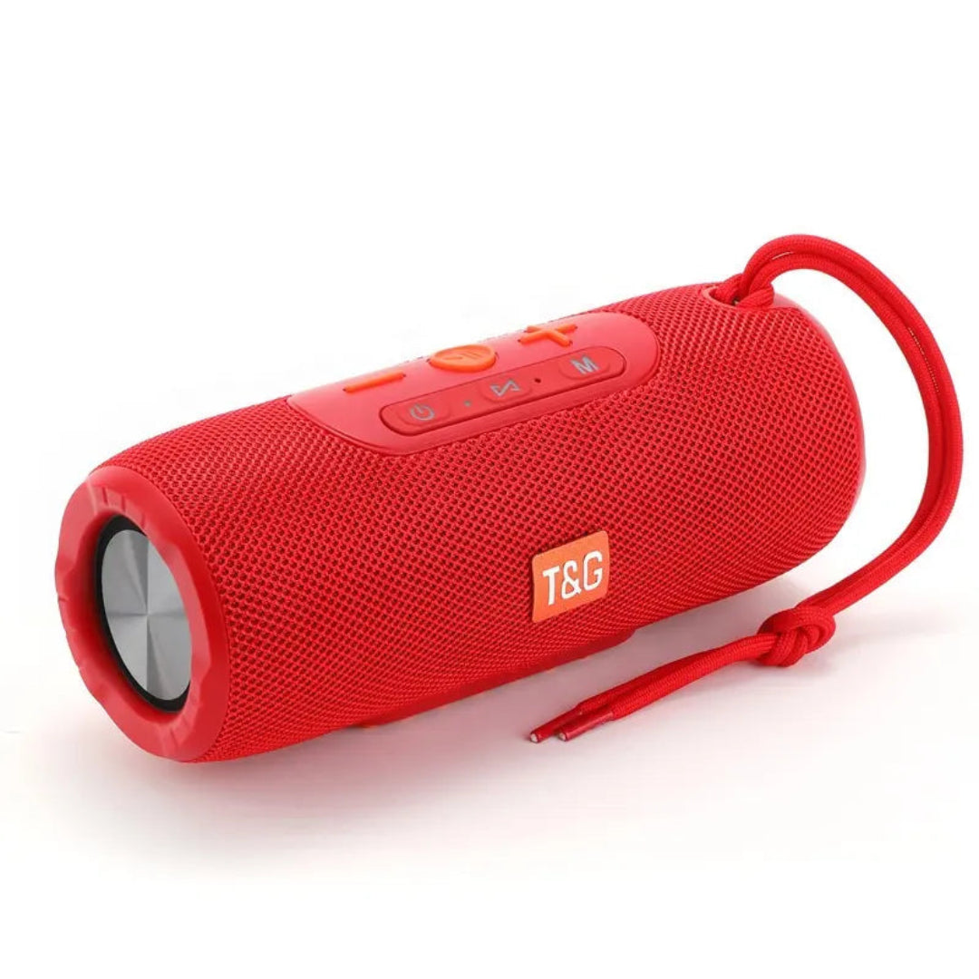 Radio Parlante T&G Portátil Con Bluetooth TG-341