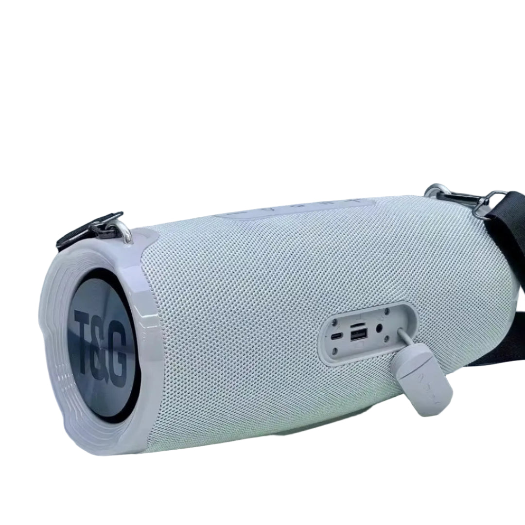 Radio Parlante T&G Portátil De 10w De Potencia TG-436