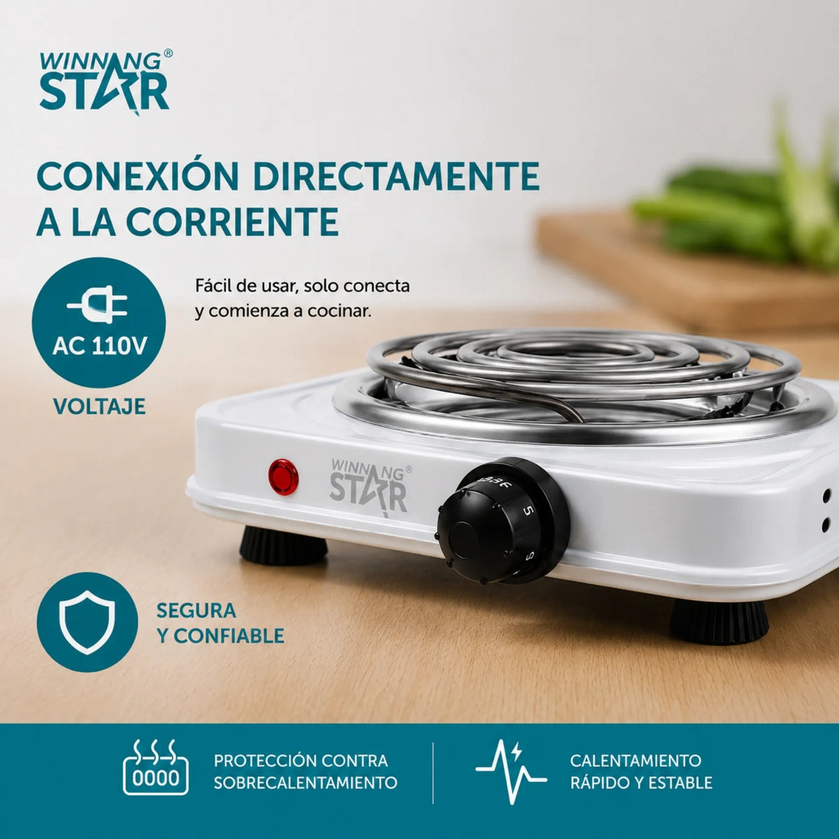 Estufa Eléctrica Portátil 1000W Con Control De Temperatura Y Protección Winning Star ST-2261