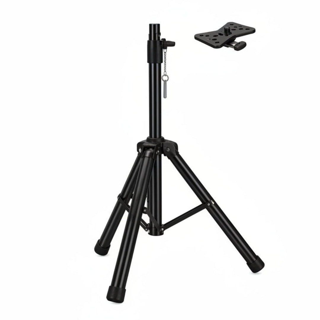 Cabina Niatec De 8" Con 20w De salida Recargable + Microfono NT-PB12+NT-H5