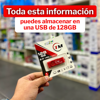 Memoria USB 2.0 TM 128GB