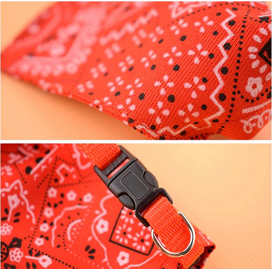 Collar con Pañoleta Mascota PAÑOLETA