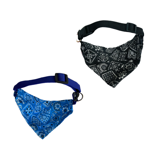 Collar con Pañoleta Mascota PAÑOLETA